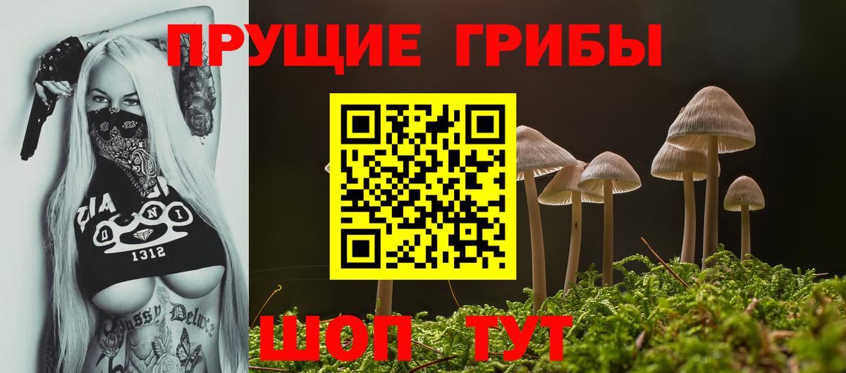 Псилоцибиновые грибы GOLDEN TEACHER Шелехов