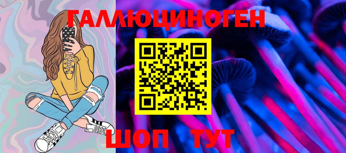 Галлюциногенные грибы Psilocybe  Вход с VPN  Шелехов 